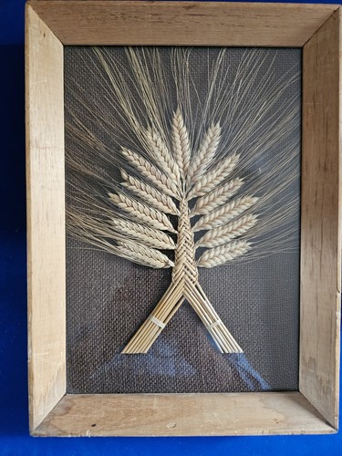 Welsh border fan corn - border,
