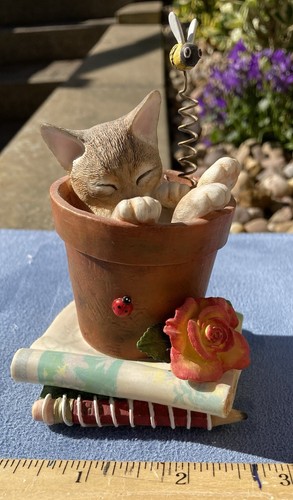 Country artists kitten tales - country,