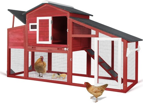 Petscosset chicken coop - chicken,