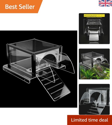 Modern turtle basking platform - modern,