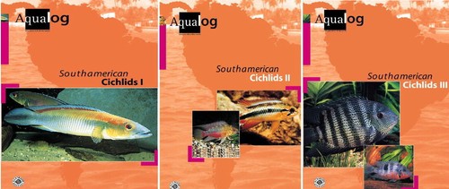 Aqualog south american - aqualog,,
