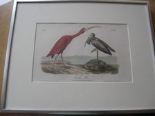 AUDUBONS FIRST EDITION OCTAVO