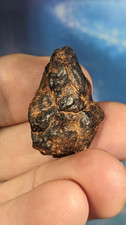Nantan Meteorite Guangxi, China. 30mm. 14grams. Boxed.