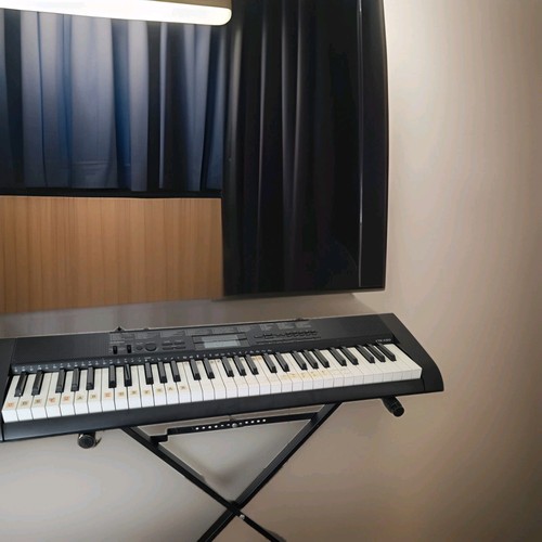 Quality casio beginner - quality,