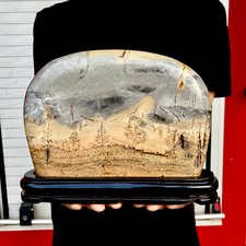 4LB Beautiful Natural Chinese Dendritic Limestone Picture Stone Guohua - Rare