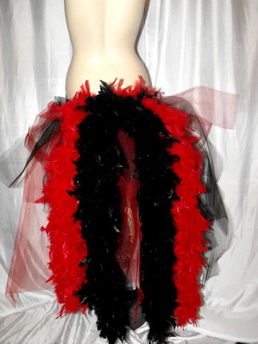 Swan paradise bird burlesque - bird,