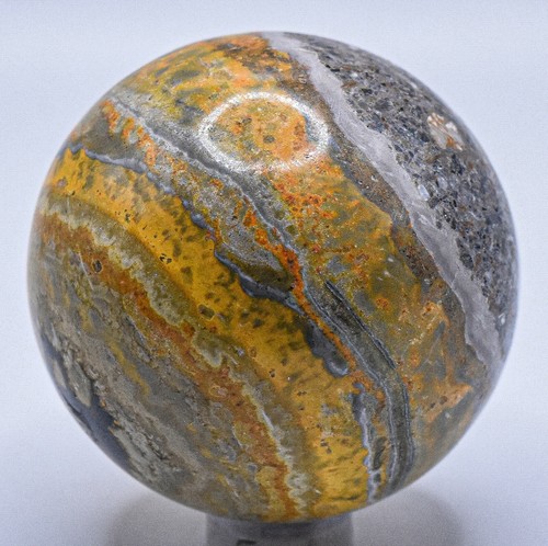 Bumble bee jasper - bumble,