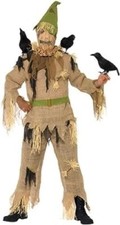Halloween Mens Scared Crow