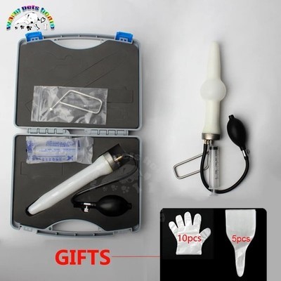 Dog artificial insemination - dog,