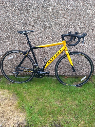 Carrera men tdf - ltd, road