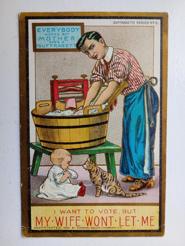 Suffragette postcard i want - postcard,