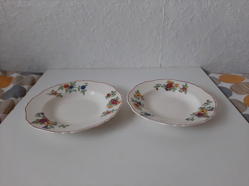 Vintage corona ware floral x - ware,
