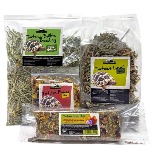 Reptile world tortoise forage - reptile,