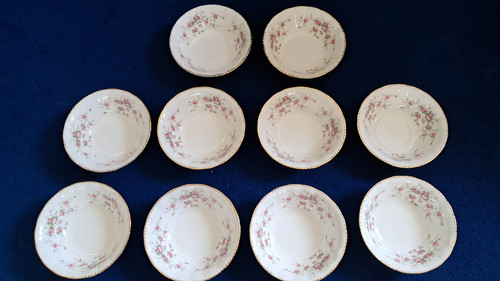 Paragon victoriana rose 5 - paragon, 6.5