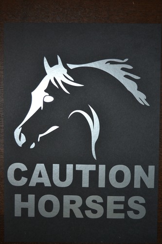 50cm silver caution horses - silver,