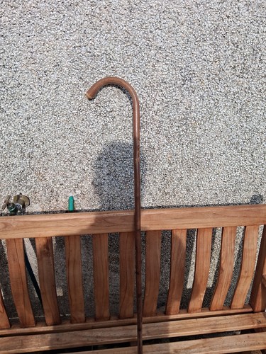 Walking stick with - walking, etched