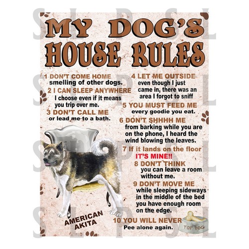 American akita dog house - american,