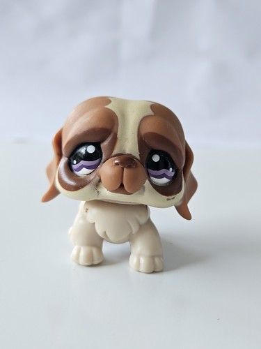 Bernard dog 1118 - st,