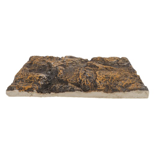 Terrarium background reptile - terrarium,