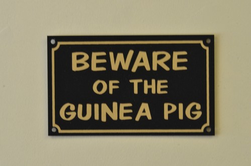 Beware the guinea pig - of,