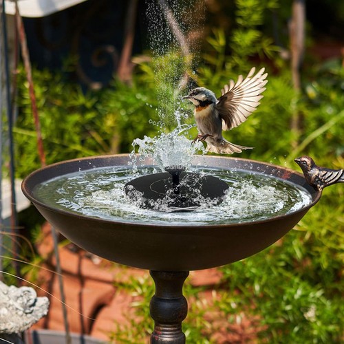 Solar powered fountain water - fountain,