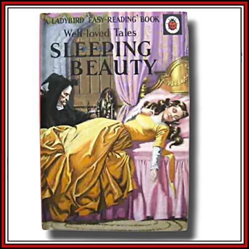 Ladybird book sleeping - book,