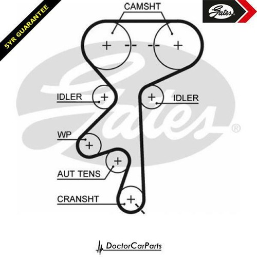 Cam timing belt for - timing,