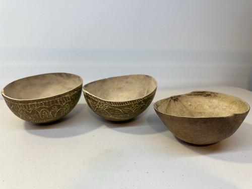 Decorative coconut shell - decorative,