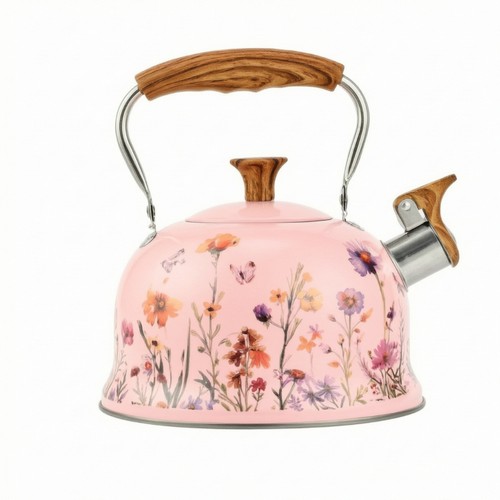 Whistling tea kettle - kettle, stainless