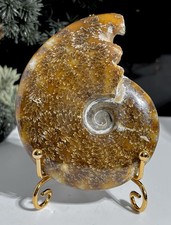 Large 214g | 10cm Whole