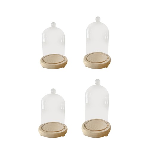 Cloche glass dome display - cloche,