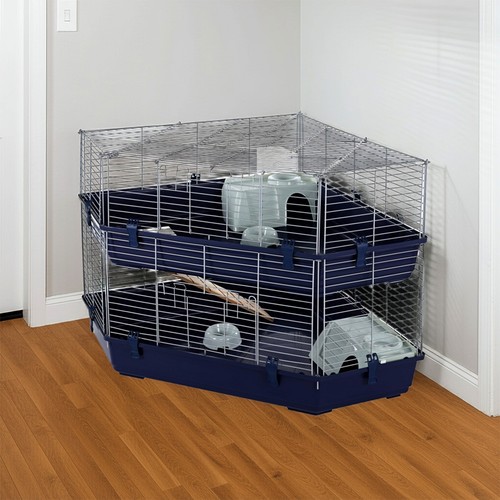 Rabbit guinea pig - pig, cage