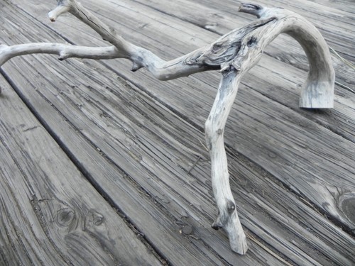 Manzanita driftwood branch