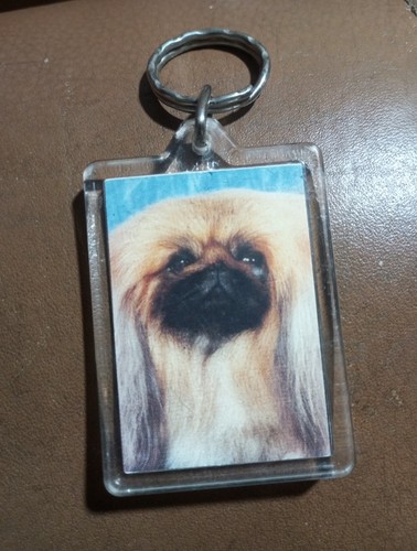 Pekinese dog pet - pet, double-sided