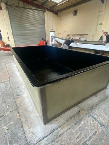 Made fish pond plunge - fish,