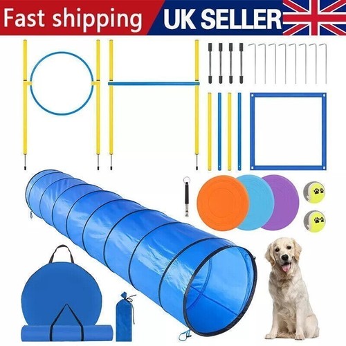300cm dog agility - dog,
