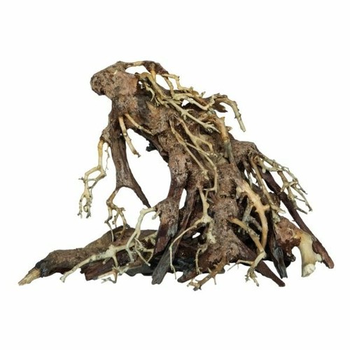 Superfish bonsai tree root - bonsai,