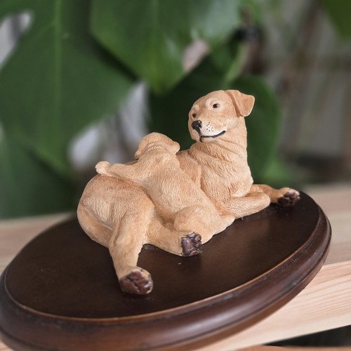 Teviotdale labrador with - teviotdale,