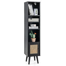 Rattan Storage Cabinet