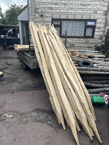Chestnut fencing post and rail - and,