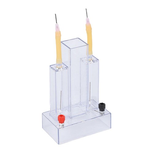 Transparent chamber - transparent,