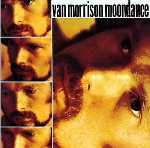 Van morrison moondance - van,