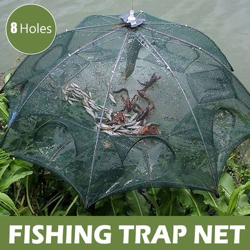 Fishing bait trap crab - fishing,