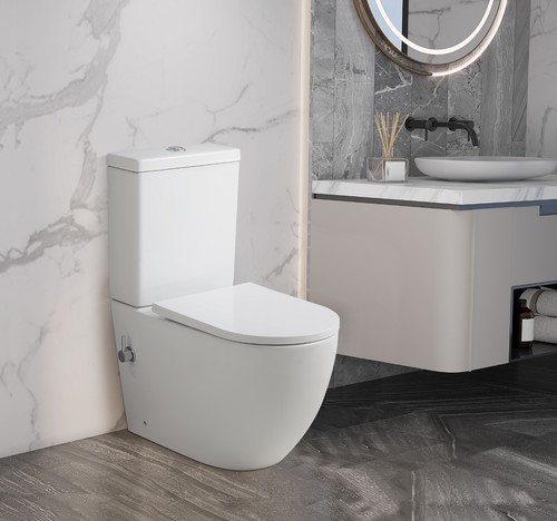 Bidet toilet back to - toilet,