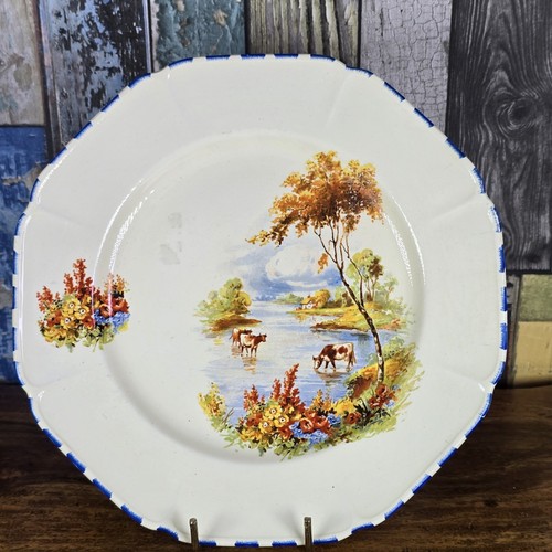 Vintage coronet ware - vintage, plate