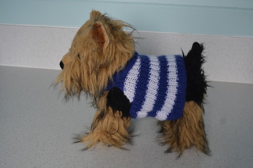 Hand knitted dog - ,