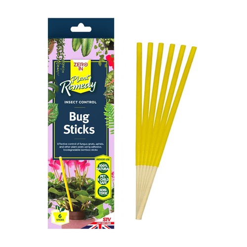 Zero pot plant bug - in,