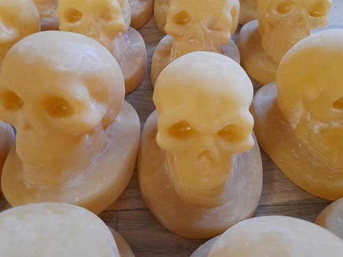 Latex skull mould - ,