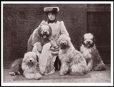 OLD ENGLISH SHEEPDOG LADY AND