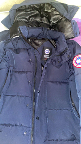 Canada goose arctic - arctic, program